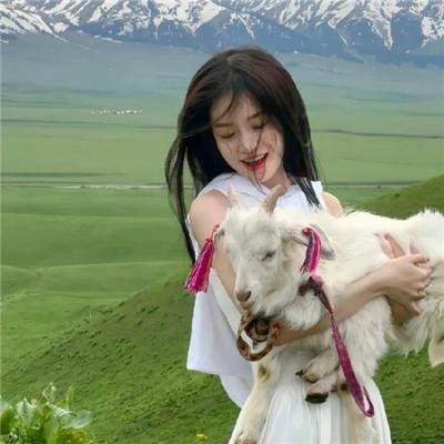 是,大臣第二季
